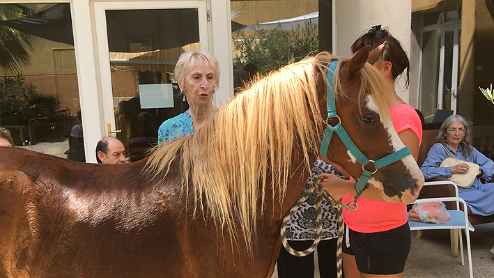 La visite d'un poney pour nos résidents de la Bastide de Pégomas
