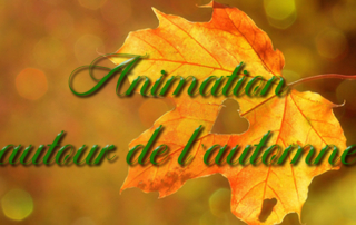 Animation créative autour de l'automne par nos résidents de la Bastide