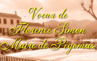 Vœux de Florence Simon, Maire de Pégomas