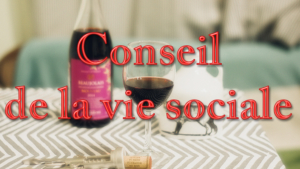 Conseil de la vie sociale à la Bastide de Pégomas