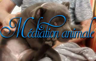 Médiation animale pour nos résidents de la Bastide de Pégomas.