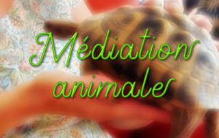 Médiation animale pour nos résidents de la Bastide de Pégomas.
