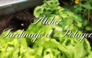 Atelier jardinage et potager pour nos résidents de la Bastide de Pégomas