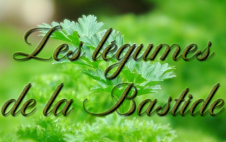 Production des premiers légumes locaux de la Bastide