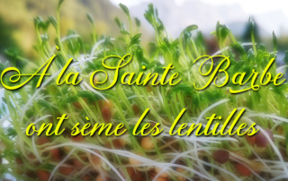 Plantation de lentilles pour la Sainte Barbe par nos résidents de la Bastide