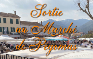 Sortie au marché de Pégomas pour nos résidents.